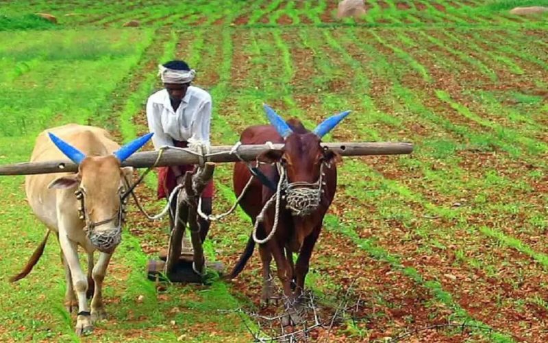 Crop Loan Waiver