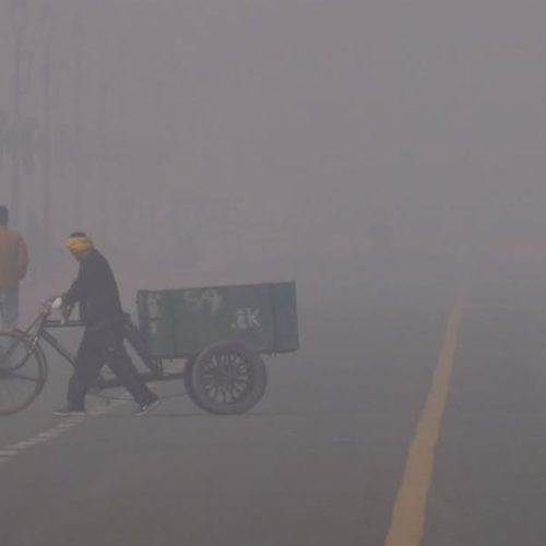 டெல்லியில், பனிமூட்டம்
