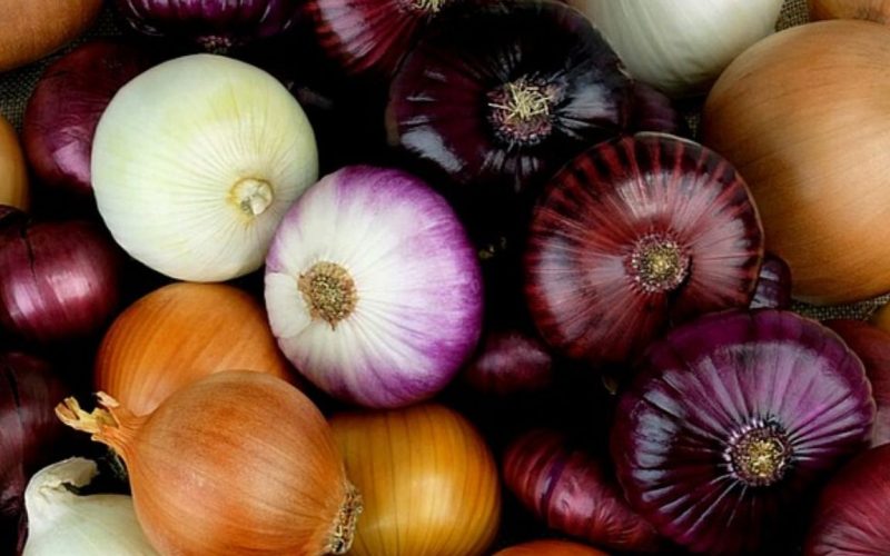 Onions Banned place in india