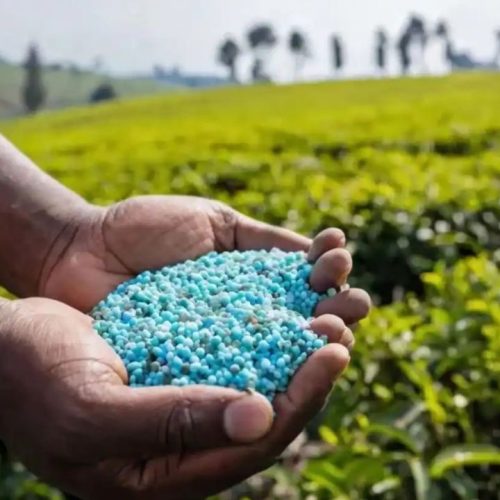 இந்தியாவில் உர விலைகள் ஏற்றம்
