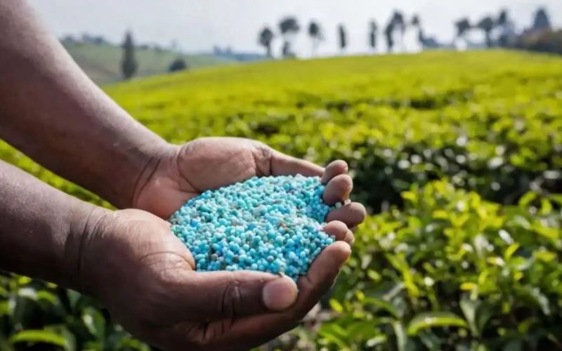 Fertiliser price hike