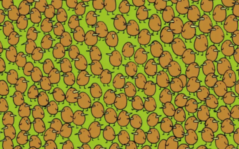 Find 4 kiwi fruits hidden among the flock of birds