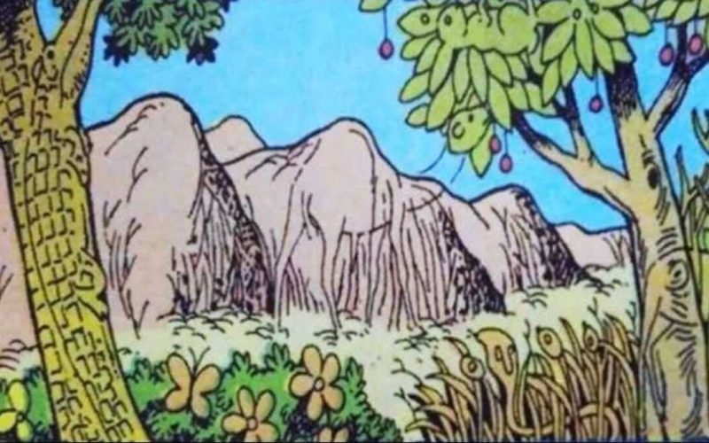 Optical Illusion Find the hidden animals in the forest