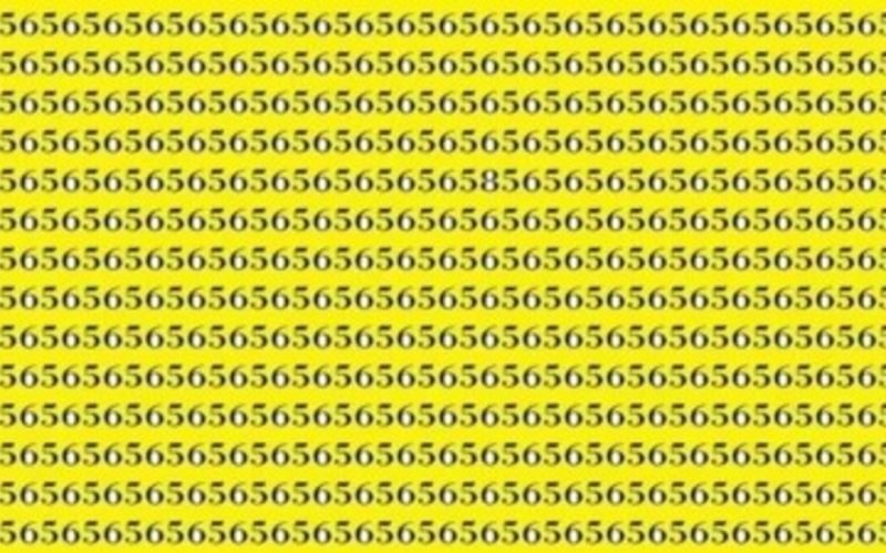 Optical Illusion Find the 58 hidden between the 56 in this photo