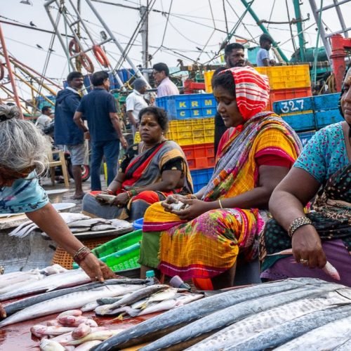 Fish Price Hike