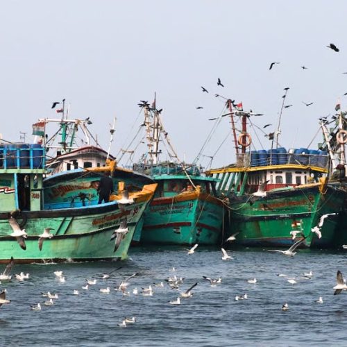 Fish prices may ease post-ban