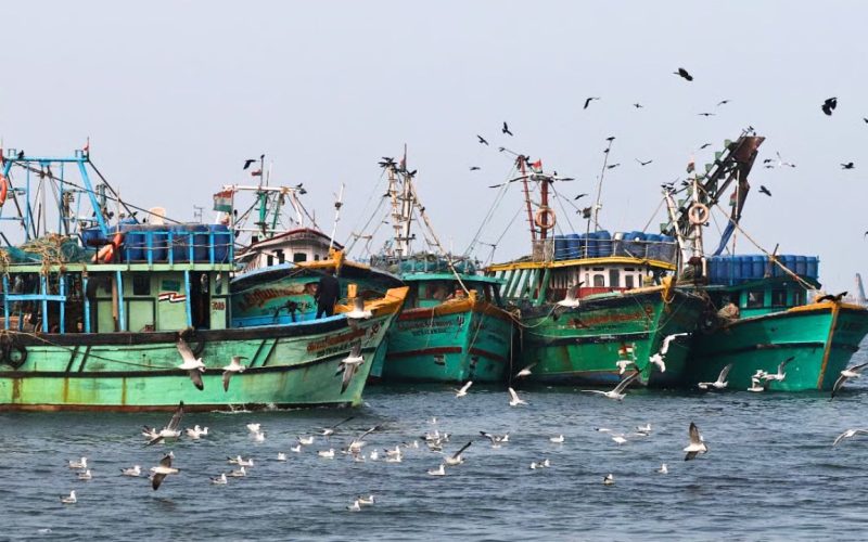 Fish prices may ease post-ban