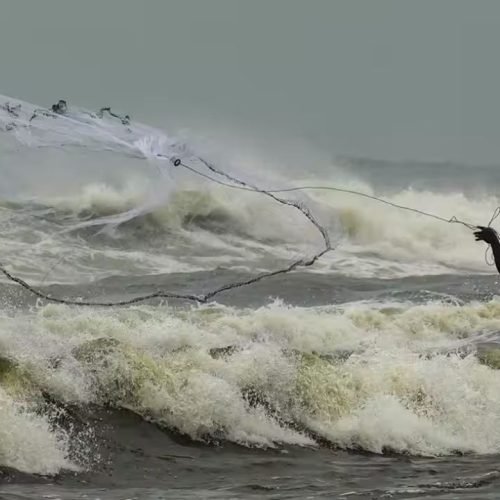 Thoothukudi Fishing Resumes