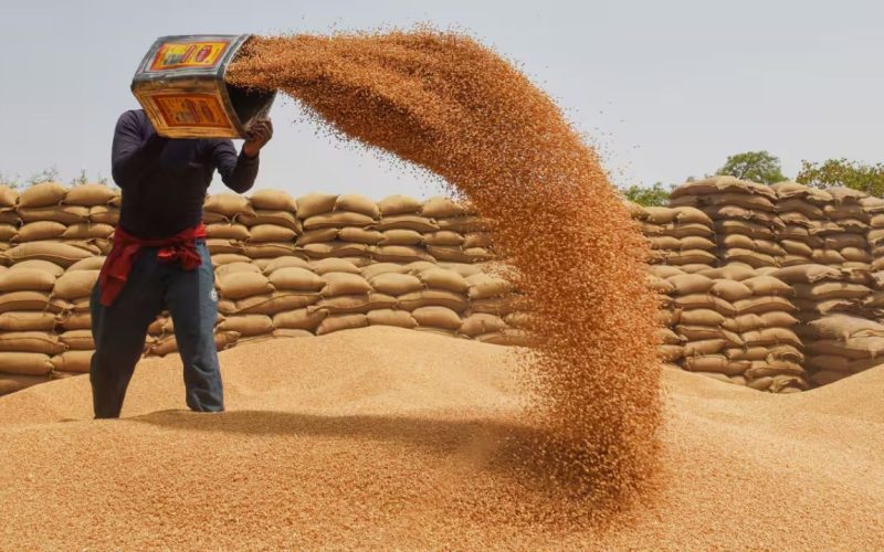 Wheat Procurement Target Up 15%