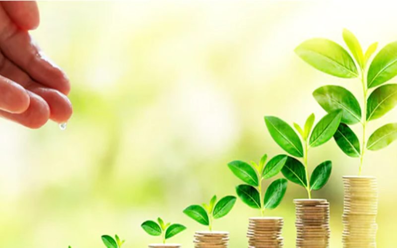 Finance companies offering interest rates above 8 pc on fixed deposits