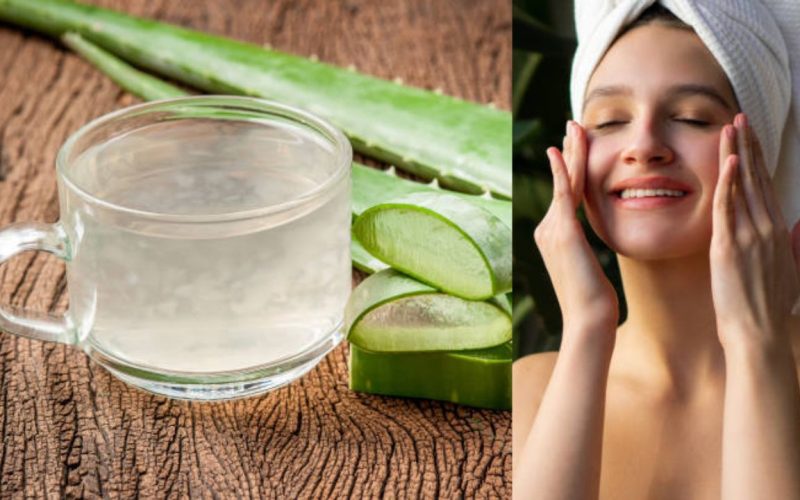 Aloe vera