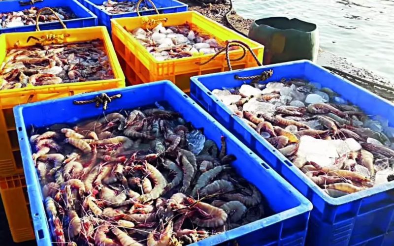 EU Aqua Export List