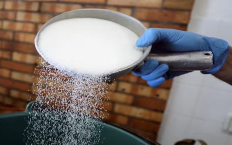 Sugar Exports Bans