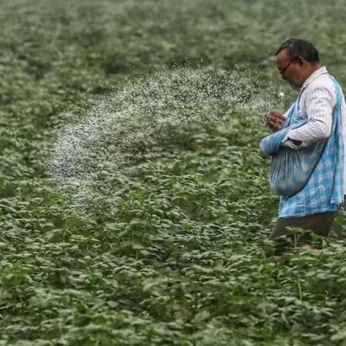India urea imports