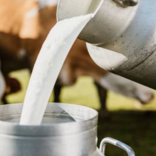 இந்தியாவில் பால் உற்பத்தி
