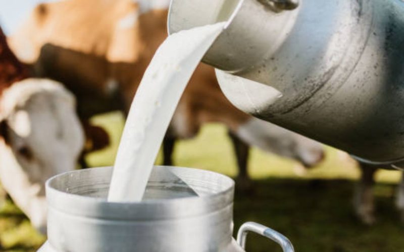 Milk production in India