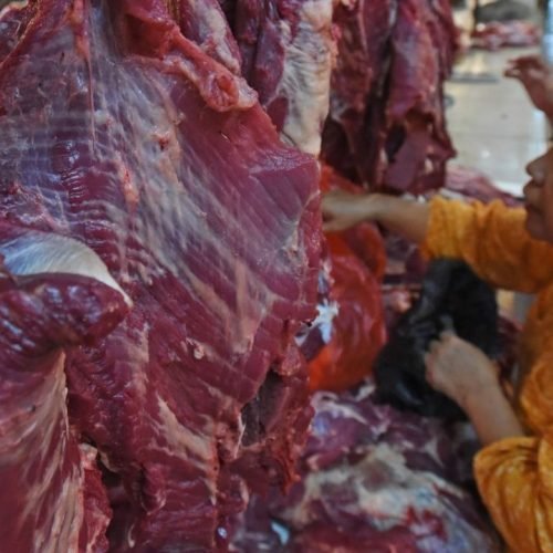 Buffalo Meat Exports