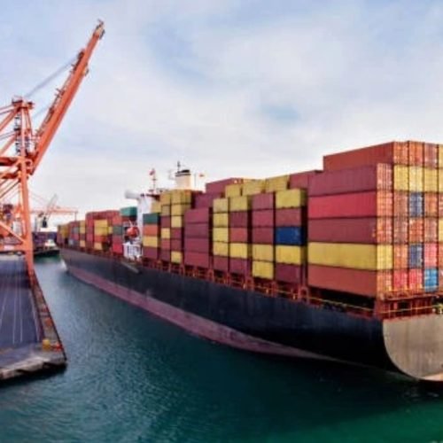 India July exports