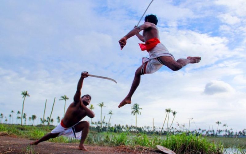 Indias Happiest States 2025