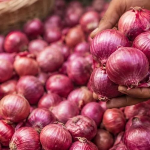 Onion Price Rise