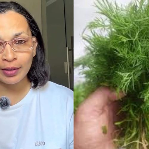 கரீனா கபூரின் ஊட்டச்சத்து நிபுணர் ருஜுதா திவேகர்