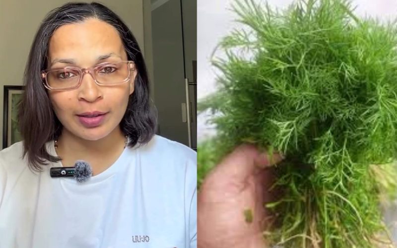 Hair growth