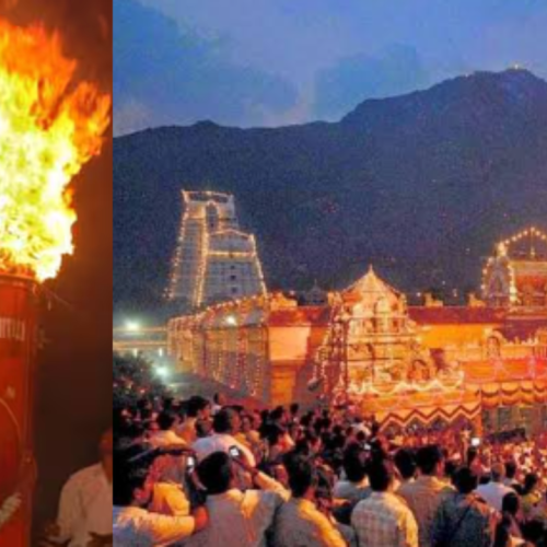 திருவண்ணாமலை கார்த்திகை தீப தரிசனம்