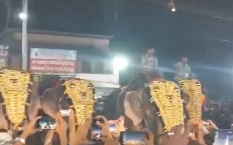 Kerala Festival Elephant Ragdolls Man viral video