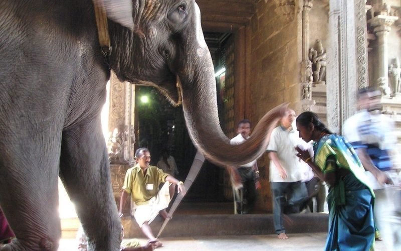 மகா சிவராத்திரி ராசி பலன்கள்
