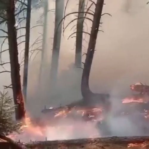 Forest Fires in Rajouri