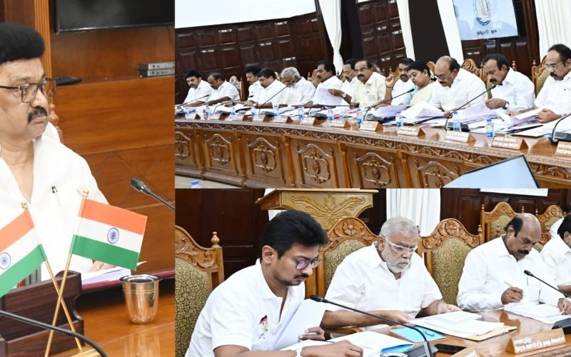 Ministers in charge have been appointed for the districts of Tamil Nadu