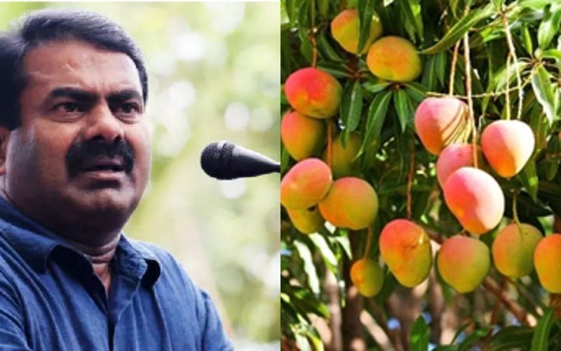 NTK Seeman