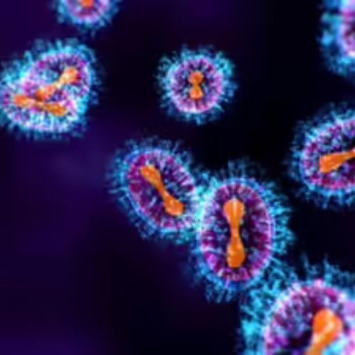 நிபா வைரஸ்