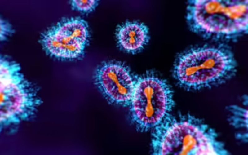 WHO chief warns Nipah is rare but serious