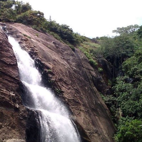 No Fee at Old Courtallam