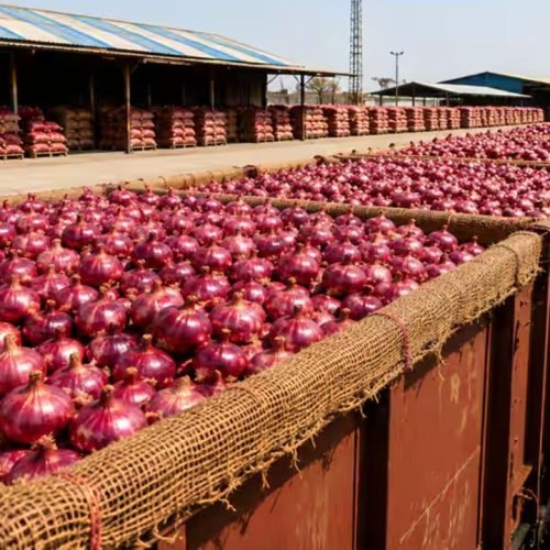Onion Express Train