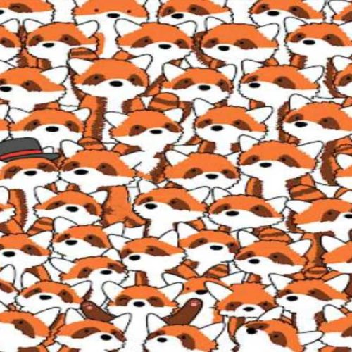 ஒளிந்திருக்கும் நரிகள் எங்கே?