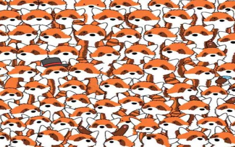 Find the 3 foxes hiding among the red pandas