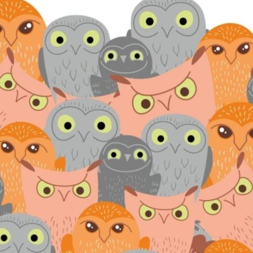 ஆப்டிக்கல் இல்லுசன் புதிர்