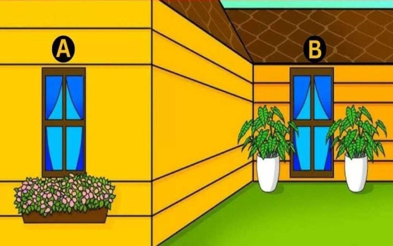 Optical Illusion Find out which window appears larger.