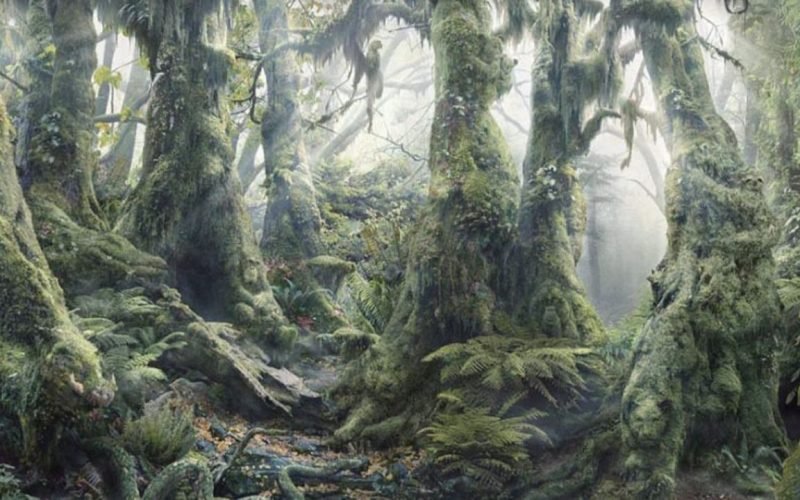 Find the animals hiding in the dense forest