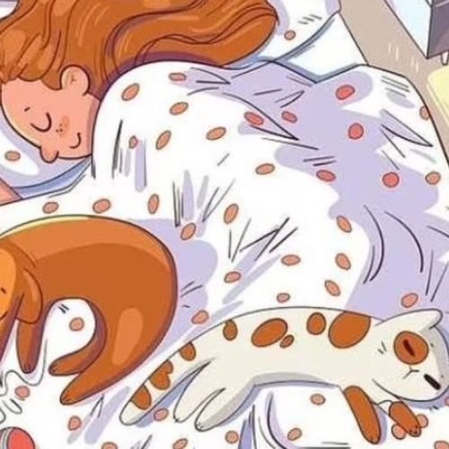 ஆப்டிக்கல் இல்லுசன் புதிர்