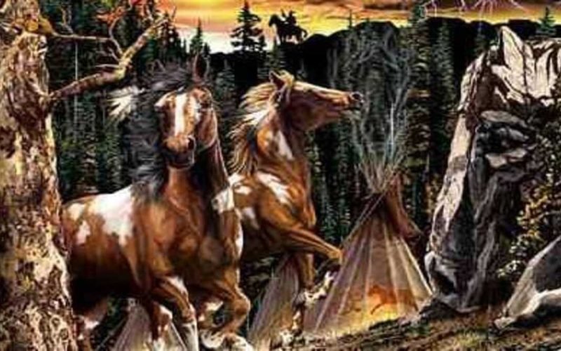 Optical Illusion Find how many horses hidden in the picture