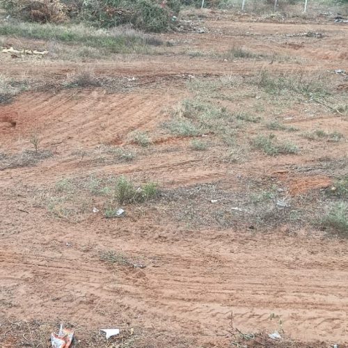 ஆப்டிக்கல் இல்லுசன் புதிர்