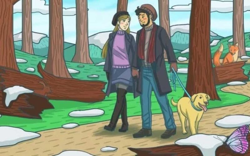 Optical Illusion Find the rabbit hiding in the forest