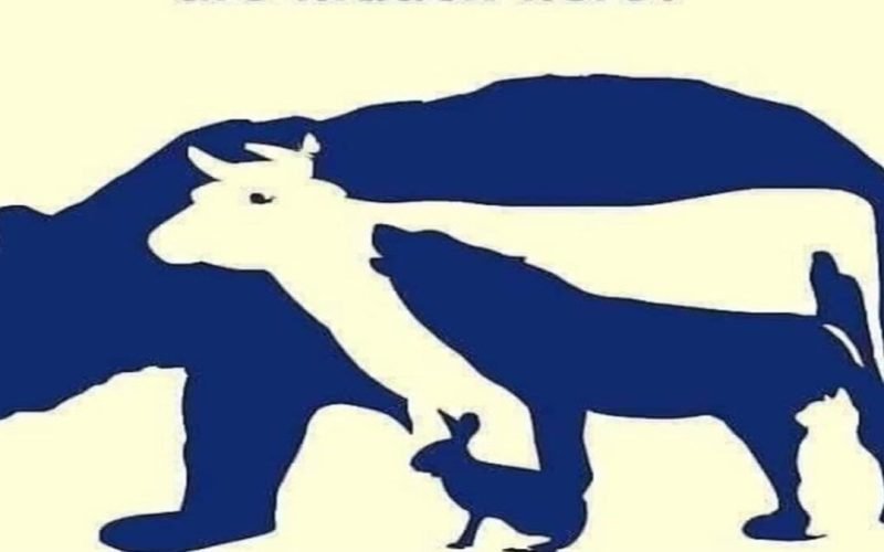 Optical Illusion Find out how many animals are in the picture