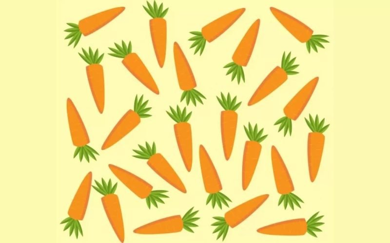 optical illusion find the lone different carrot among the number of carrots