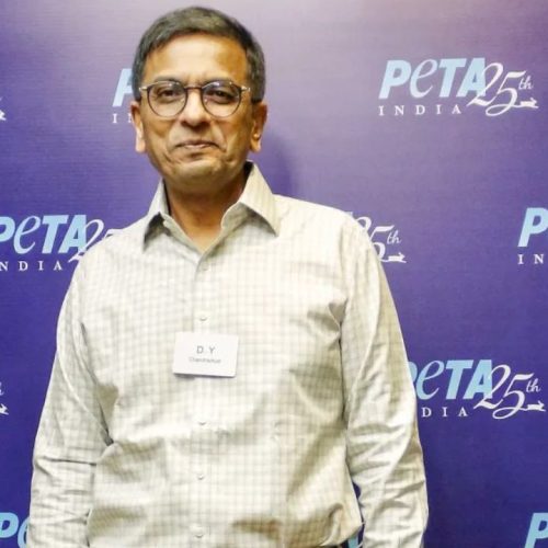  உச்ச நீதிமன்றத்தின் முன்னாள் தலைமை நீதிபதி டி ஒய் சந்திர சூட்
