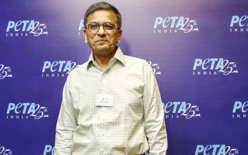 PETAs 25th anniversary event