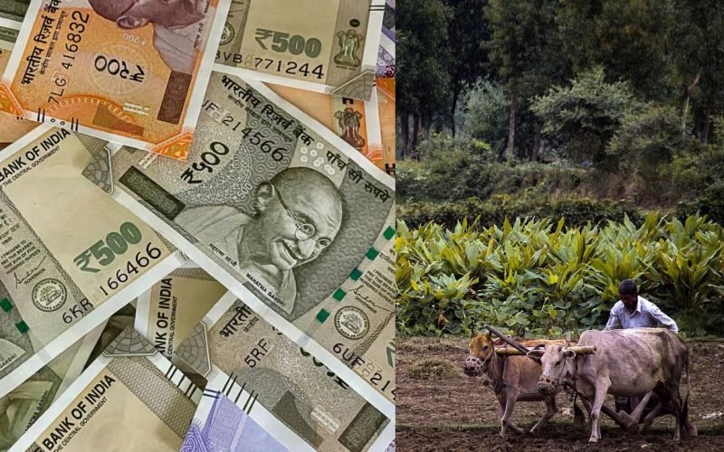 PM Kisan Scheme